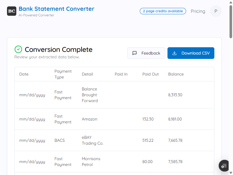 bank statement converter ai online successful conversion